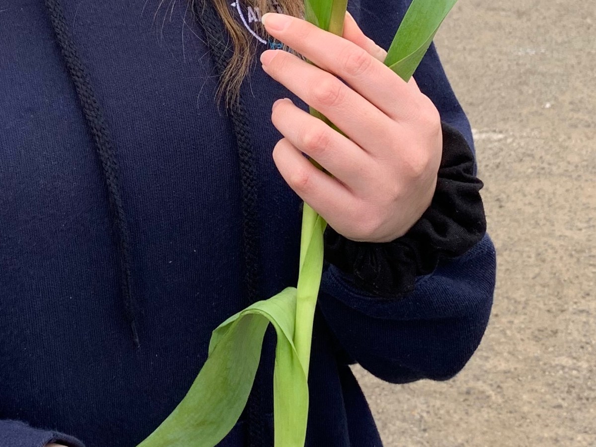 Notes From The&nbsp;Field